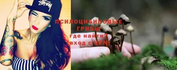 гидропоника Алексеевка