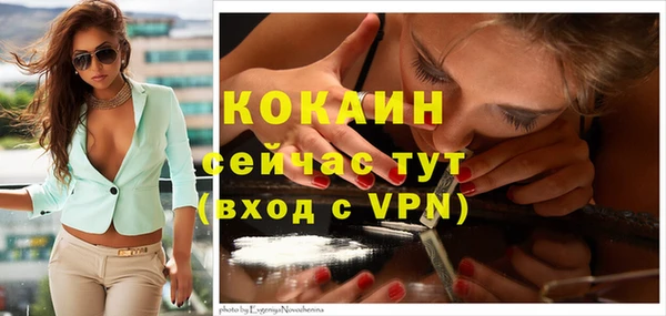 МДПВ Новодвинск