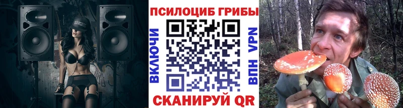 Псилоцибиновые грибы GOLDEN TEACHER Феодосия